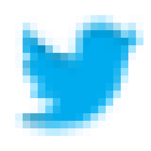 twitter-logo-compusoft